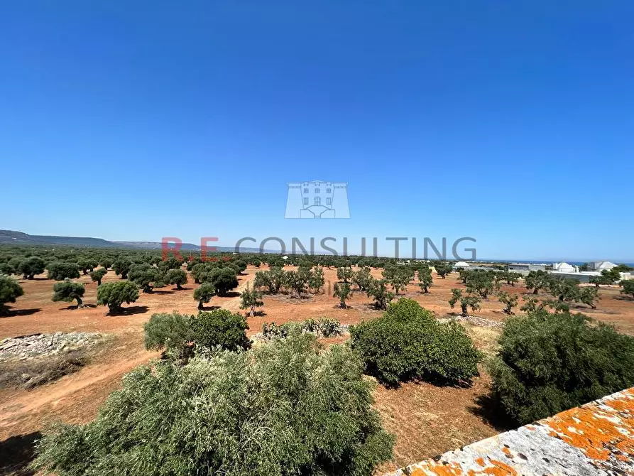 Immagine 5 di Rustico / casale in vendita  in Contrada Santatoce sn a Ostuni