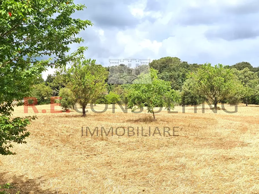 Immagine 12 di Rustico / casale in vendita  a Martina Franca