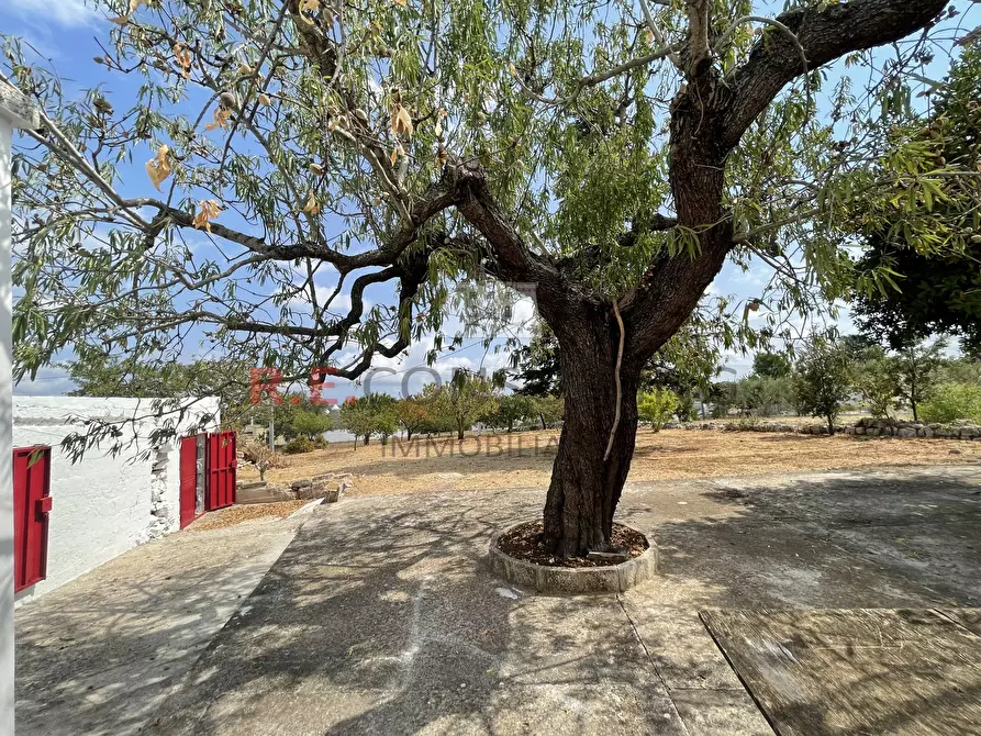 Immagine 19 di Baita in vendita  in Strada Provinciale 62 139 a Martina Franca