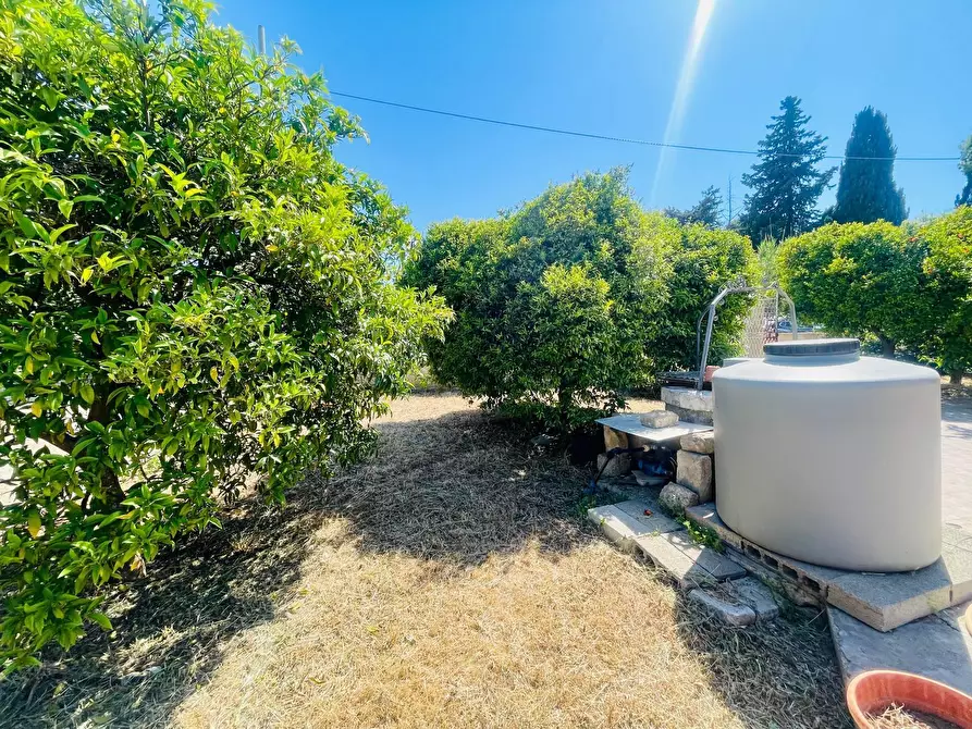 Immagine 19 di Casa indipendente in vendita  in Strada Benali 190 a Siracusa