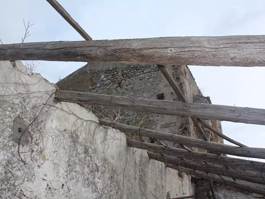 Immagine 5 di Capannone industriale in vendita  in contrada santa teresa longarini a Siracusa