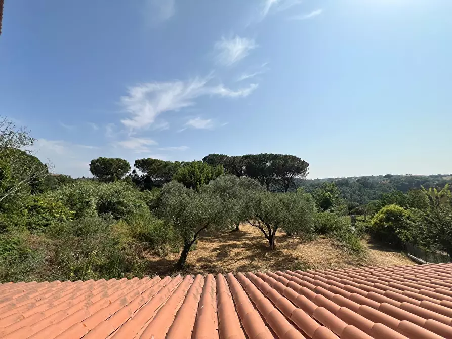 Immagine 19 di Villa in vendita  a Civitella San Paolo