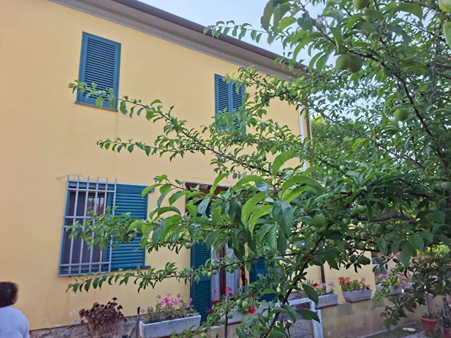 Immagine 28 di Terratetto in vendita  a San Giuliano Terme