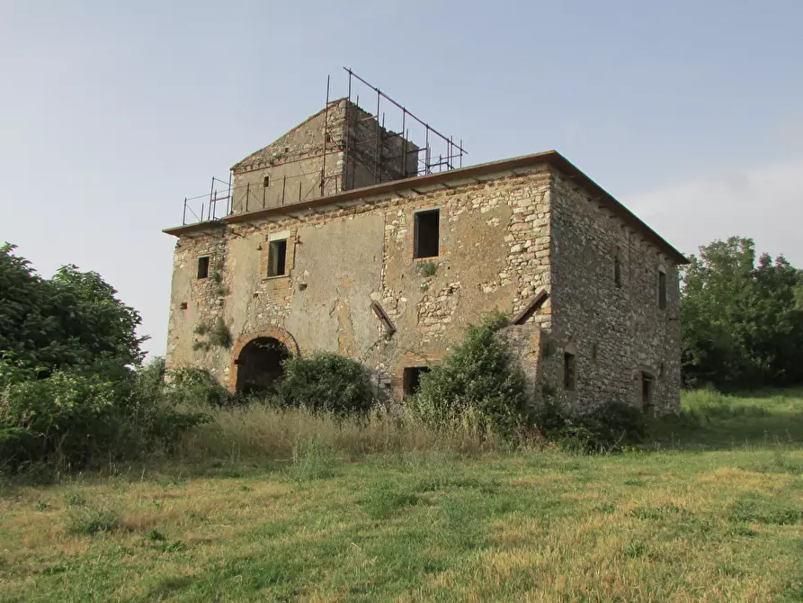 Immagine 16 di Rustico / casale in vendita  a Massa Martana