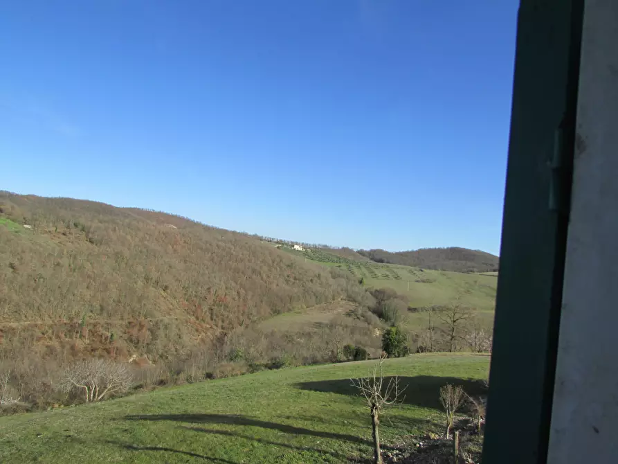 Immagine 3 di Rustico / casale in vendita  a Baschi