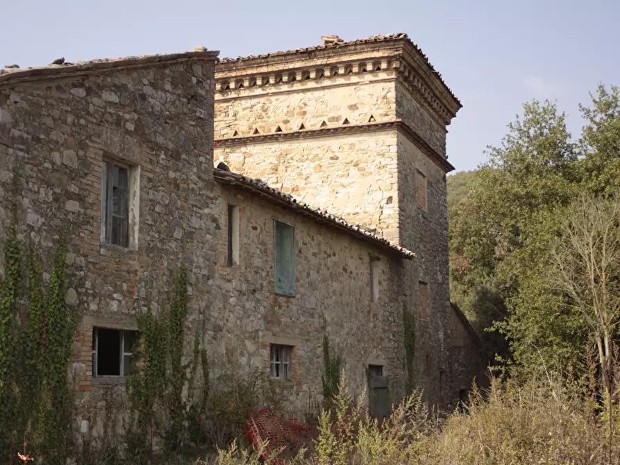 Immagine 2 di Rustico / casale in vendita  a Todi
