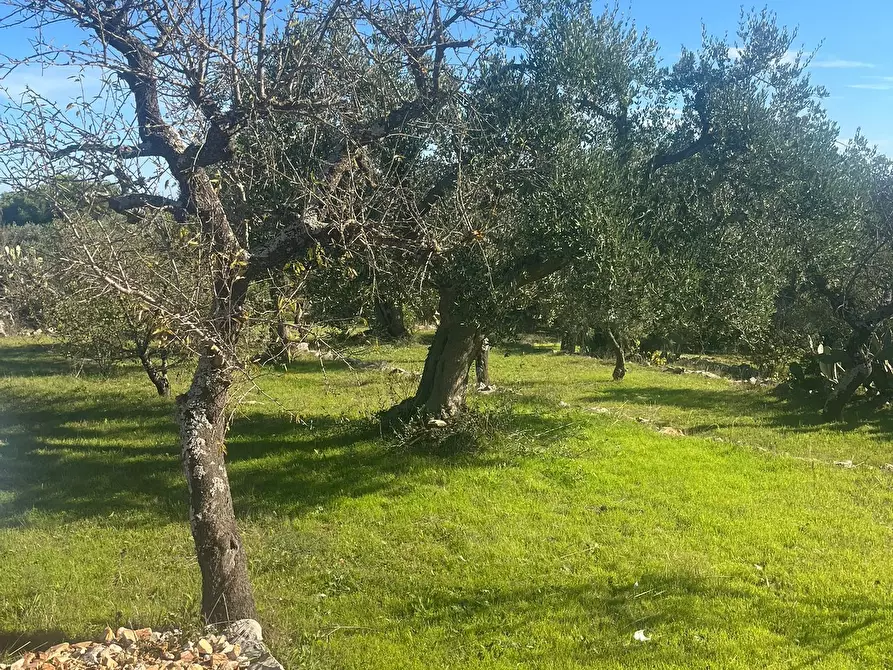 Immagine 10 di Rustico / casale in vendita  in Via Vd'impelo a Castellana Grotte