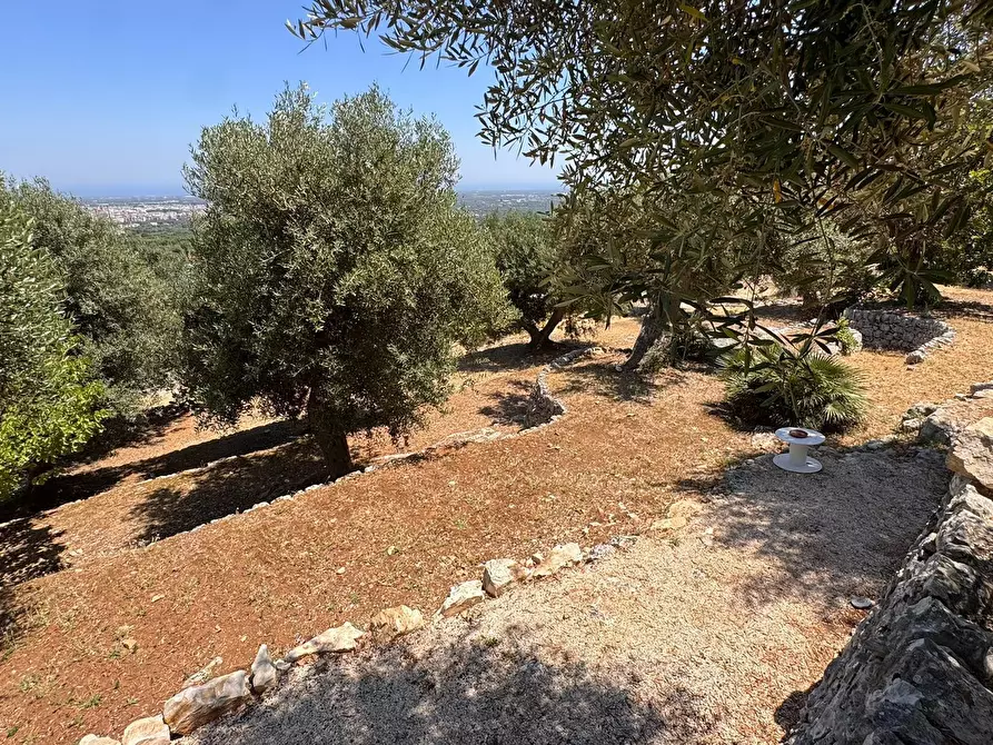 Immagine 34 di Rustico / casale in vendita  in Viale Monte Cannone a Fasano