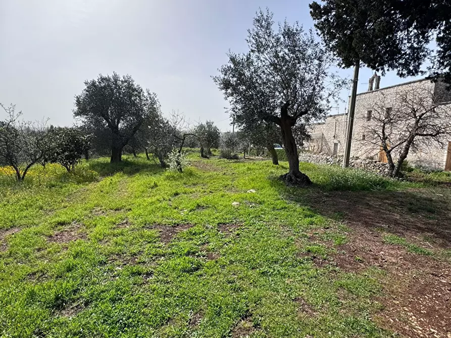 Immagine 7 di Porzione di casa in vendita  in contrada tavarello a Monopoli