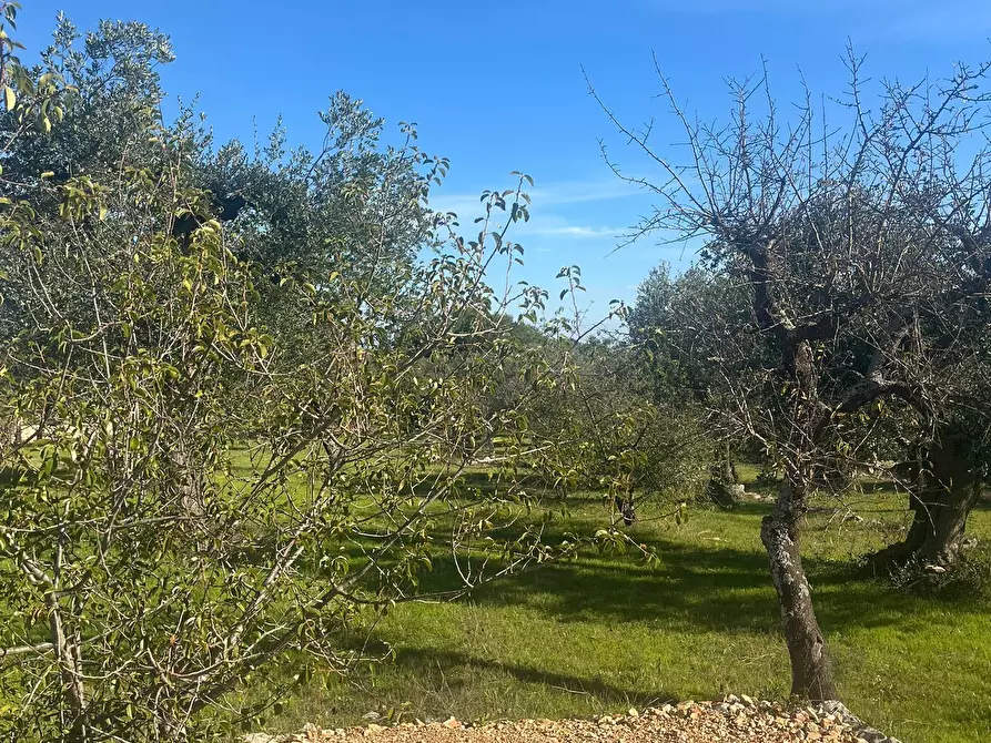 Immagine 11 di Rustico / casale in vendita  in Via Vd'impelo a Castellana Grotte