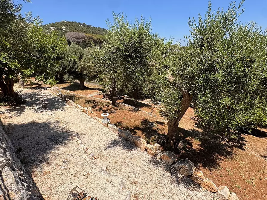 Immagine 33 di Rustico / casale in vendita  in Viale Monte Cannone a Fasano
