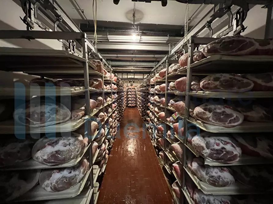 Immagine 7 di Attività artigianale in vendita  a Savignano Sul Panaro