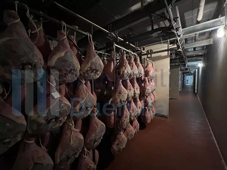 Immagine 50 di Attività artigianale in vendita  a Savignano Sul Panaro