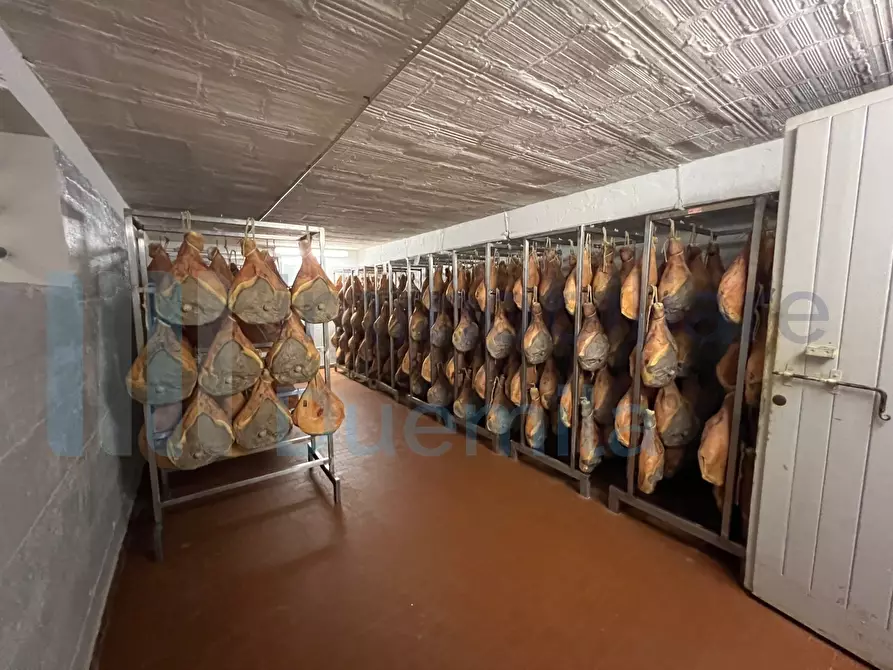 Immagine 70 di Attività artigianale in vendita  a Savignano Sul Panaro