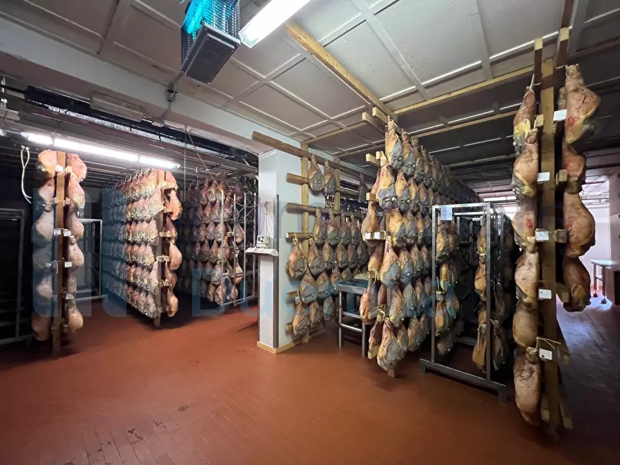 Immagine 27 di Attività artigianale in vendita  a Savignano Sul Panaro