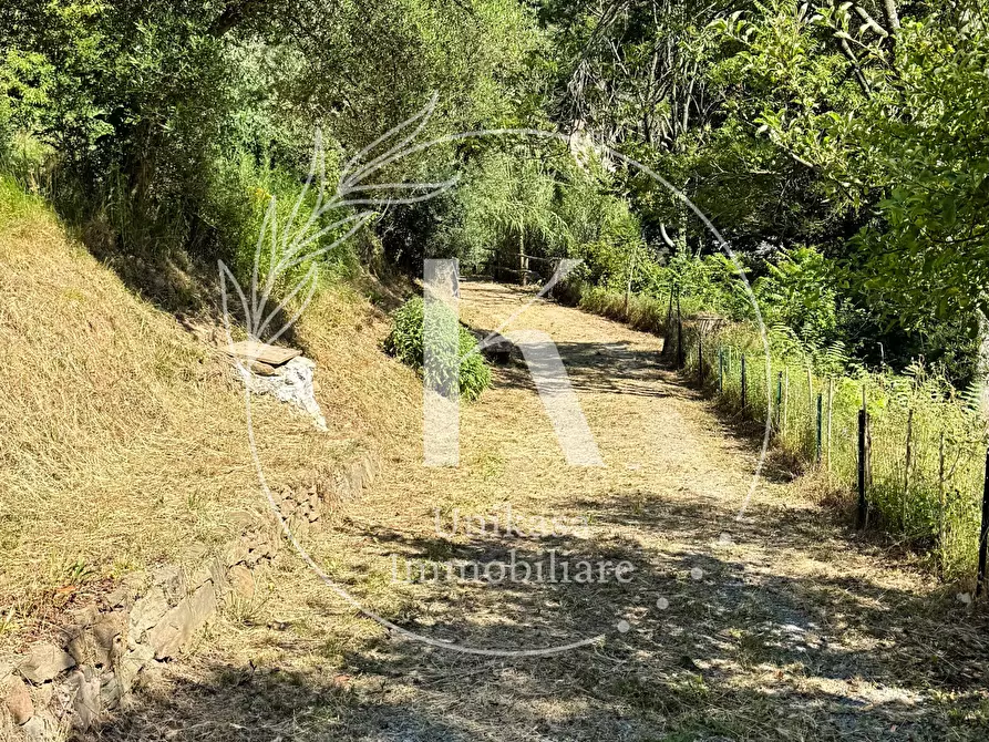 Immagine 5 di Casa indipendente in vendita  in Località Mezzano 22 a Stella