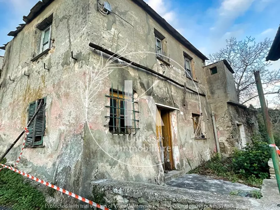 Immagine 13 di Rustico / casale in vendita  in Via Dorino Boristene 18 a Stella