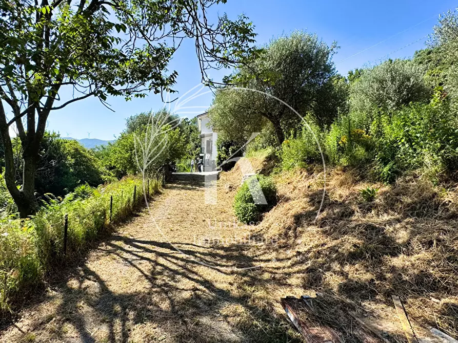 Immagine 17 di Casa indipendente in vendita  in Località Mezzano 22 a Stella