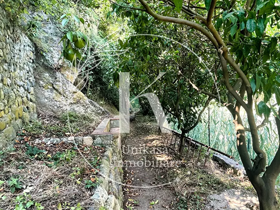 Immagine 33 di Casa indipendente in vendita  in Via Santuario a Savona