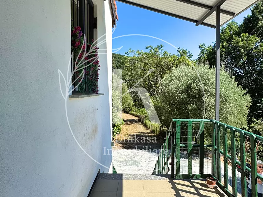 Immagine 35 di Casa indipendente in vendita  in Località Mezzano 22 a Stella