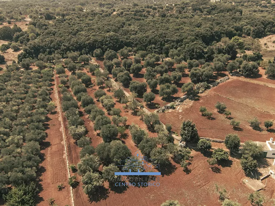 Immagine 46 di Villa in vendita  in CONTRADA VALLEGNA SNC a Ostuni