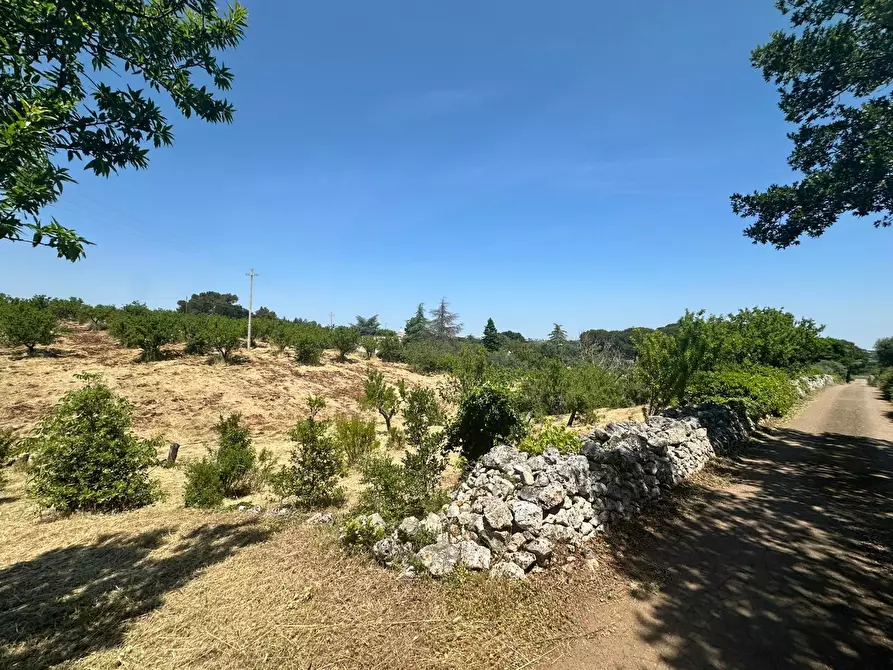 Immagine 22 di Villa in vendita  in Contrada Fantese 38 a Ostuni