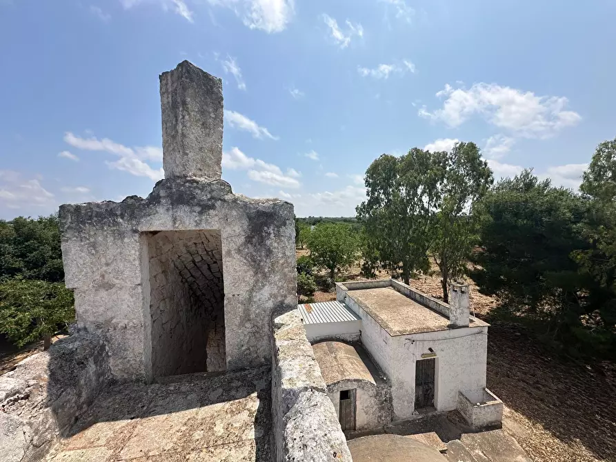 Immagine 8 di Rustico / casale in vendita  in Strada Provinciale 29 a Ostuni