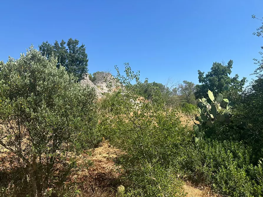 Immagine 18 di Casa indipendente in vendita  in Contrada Galante a Ceglie Messapico