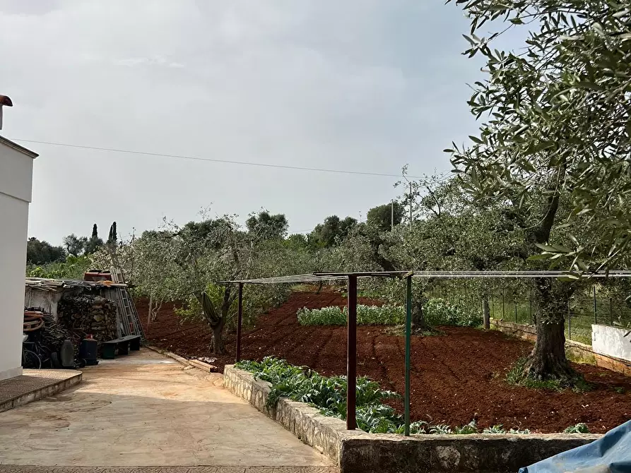 Immagine 35 di Villa in vendita  in Strada Provinciale 22sp 22 a Ostuni