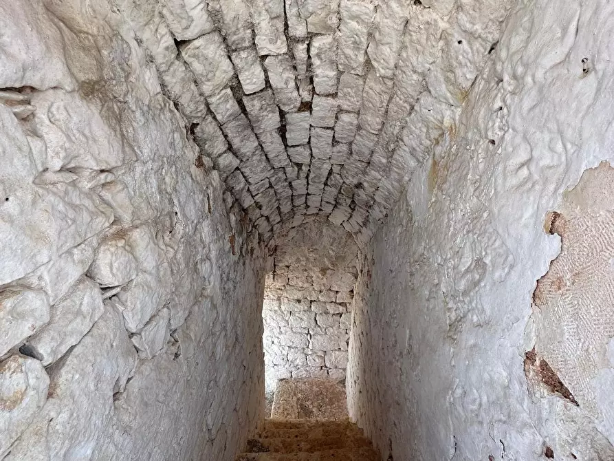 Immagine 16 di Rustico / casale in vendita  in Strada Provinciale 29 a Ostuni