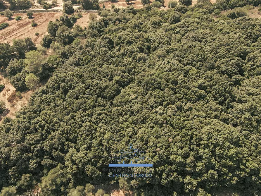 Immagine 49 di Villa in vendita  in CONTRADA VALLEGNA SNC a Ostuni