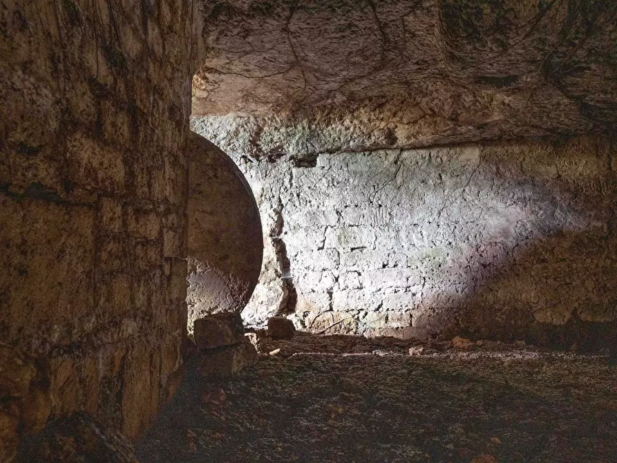 Immagine 39 di Rustico / casale in vendita  a Ostuni