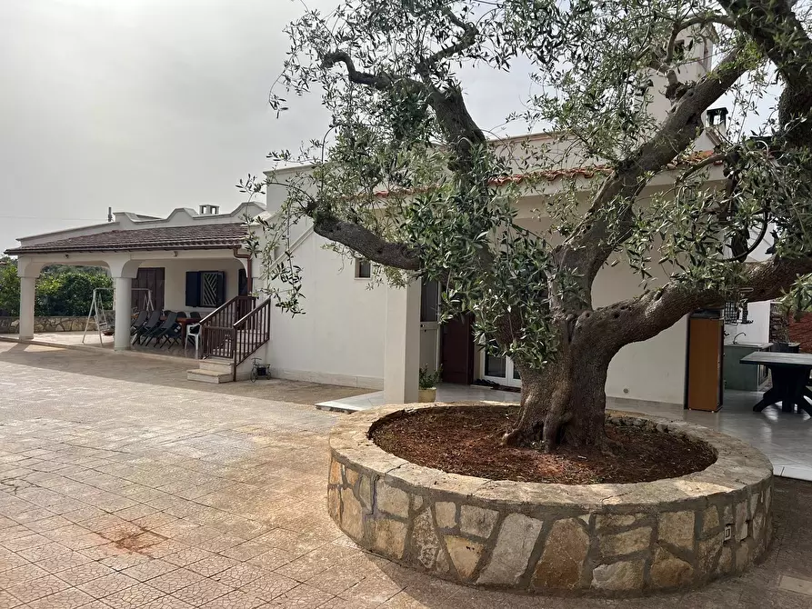 Immagine 4 di Villa in vendita  in Strada Provinciale 22sp 22 a Ostuni