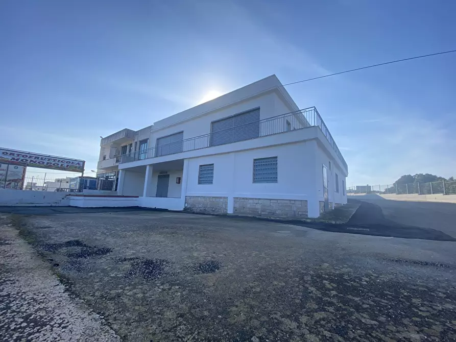 Immagine 3 di Azienda agricola in vendita  in Strada Statale 16 Adriatica 105 a Ostuni