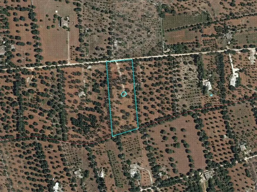 Immagine 4 di Terreno edificabile in vendita  in Contrada Boccadoro a Ostuni
