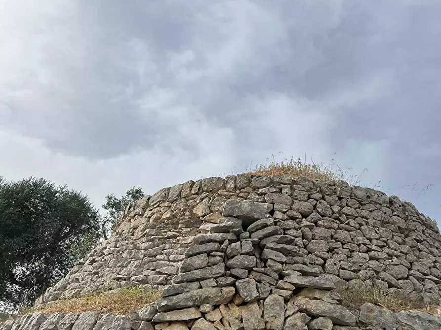 Immagine 40 di Villa in vendita  in Strada Provinciale 22sp 22 a Ostuni