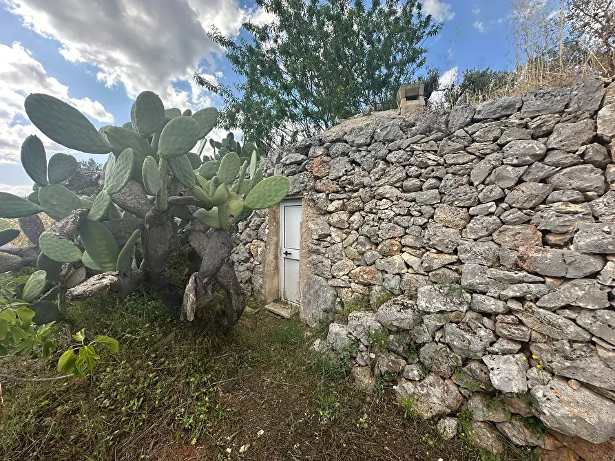 Immagine 5 di Casa indipendente in vendita  in Strada Provinciale 17 a Ostuni