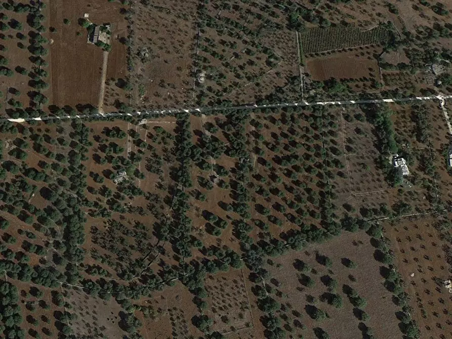 Immagine 3 di Terreno edificabile in vendita  in Contrada Boccadoro a Ostuni