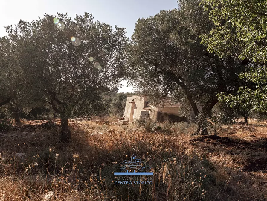Immagine 14 di Casa indipendente in vendita  in Contrada Tamburroni a Ostuni
