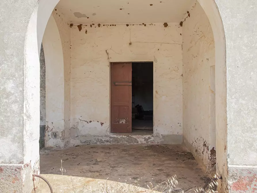 Immagine 12 di Rustico / casale in vendita  in Contrada San Francesco a Carovigno