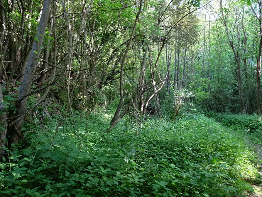 Immagine 14 di Rustico / casale in vendita  in Unnamed Road 13b a Sassello