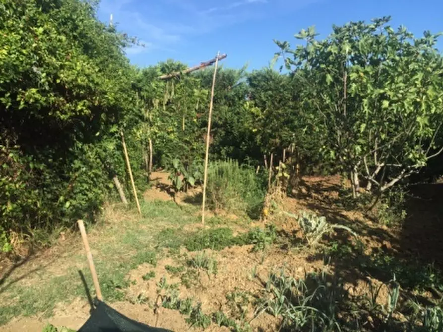 Immagine 18 di Porzione di casa in vendita  a Acqui Terme
