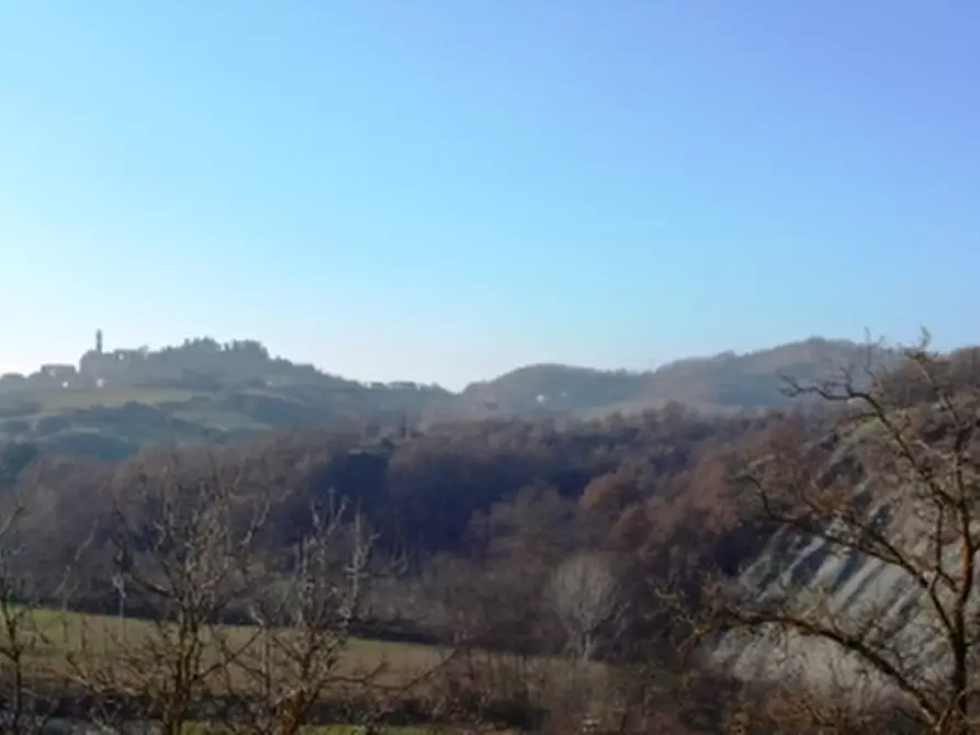 Immagine 5 di Porzione di casa in vendita  a Pareto
