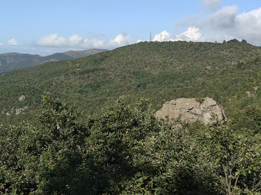 Immagine 6 di Rustico / casale in vendita  in Via Marasca 132 a Urbe