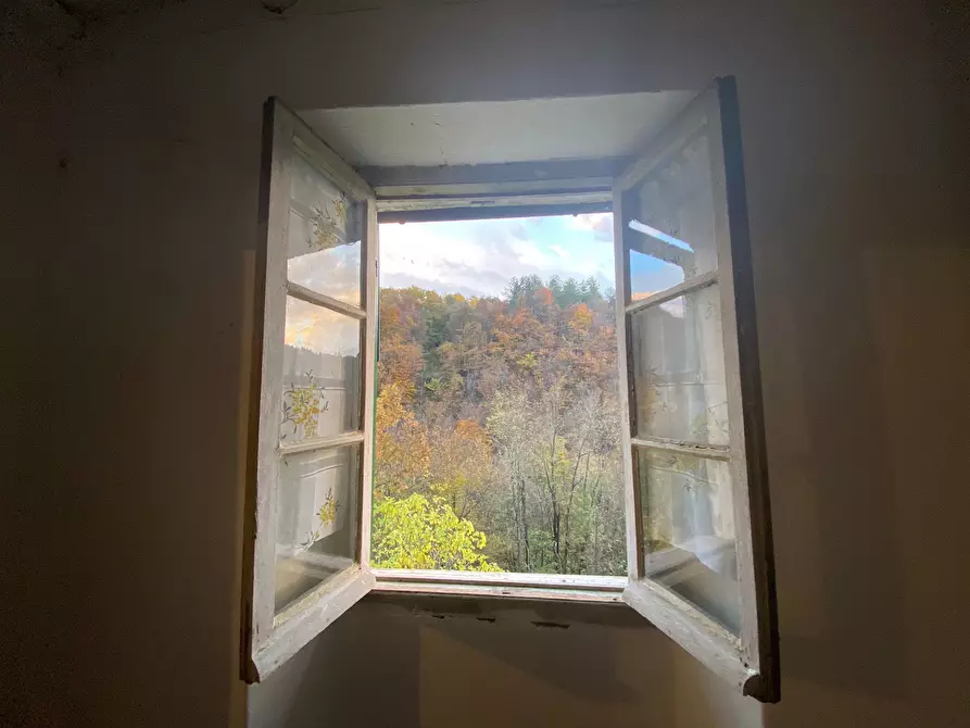 Immagine 18 di Rustico / casale in vendita  a Sassello