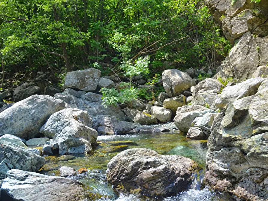 Immagine 29 di Rustico / casale in vendita  in Via Dano a Sassello
