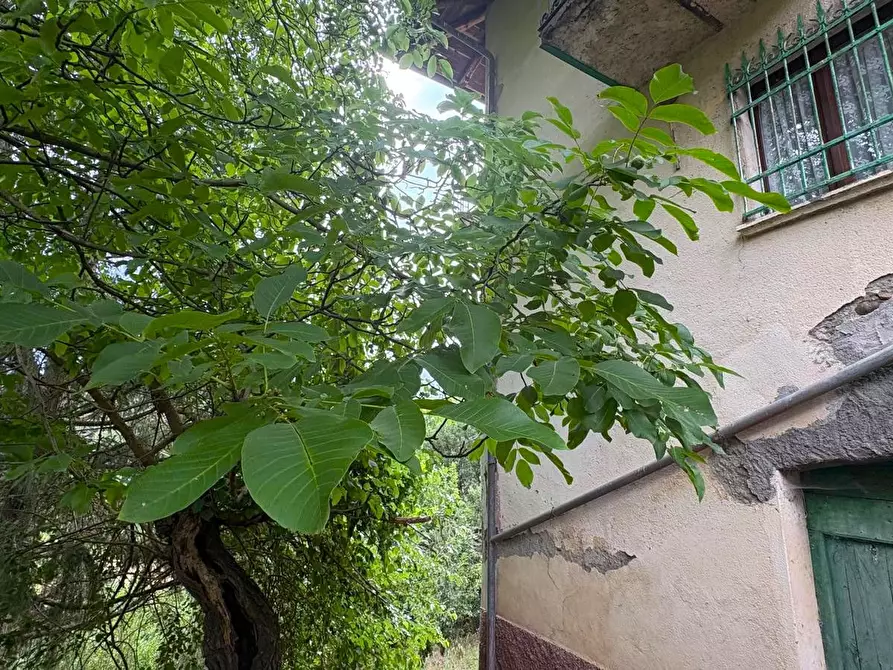 Immagine 57 di Rustico / casale in vendita  in SP216 6 a Pareto
