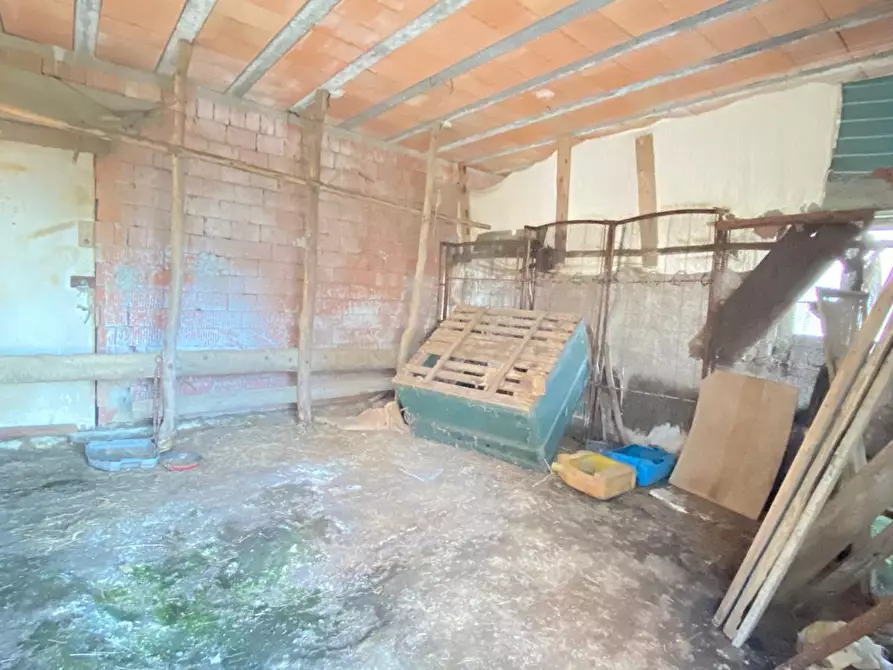 Immagine 22 di Rustico / casale in vendita  a Sassello