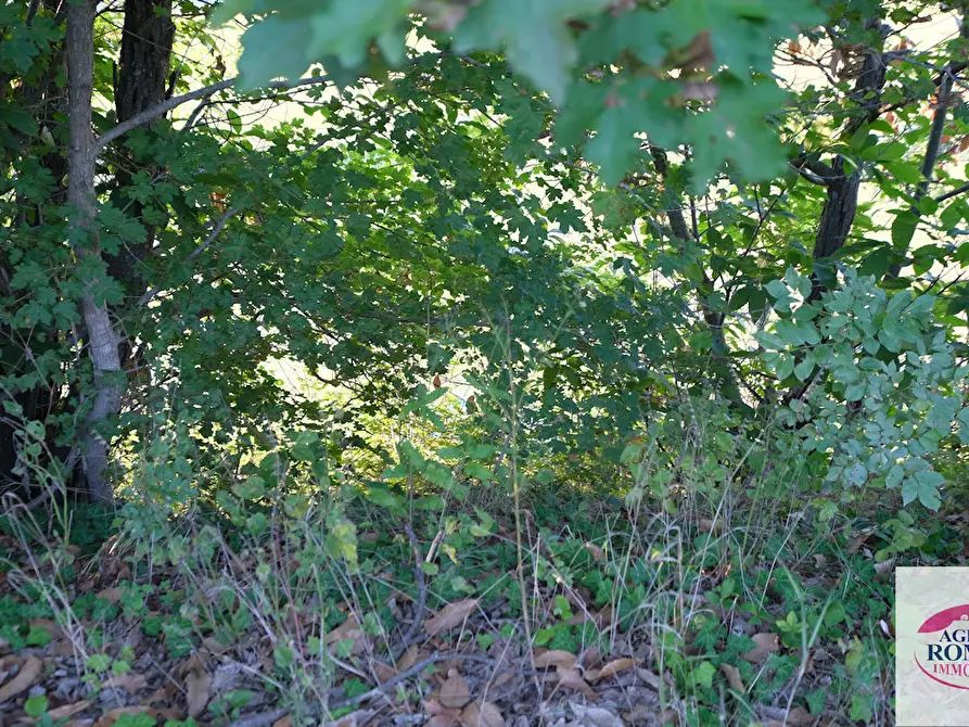Immagine 25 di Casa bifamiliare in vendita  a Cartosio