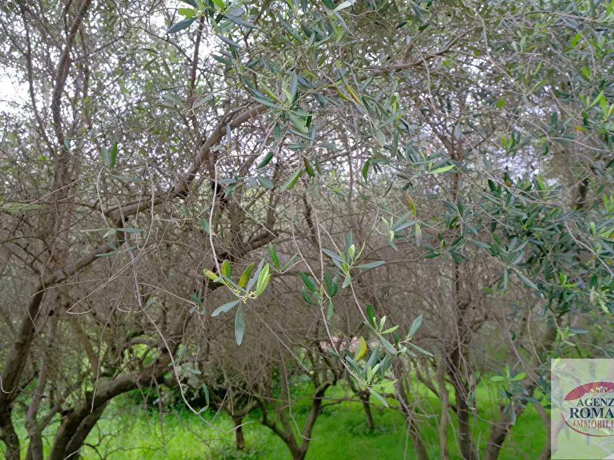 Immagine 24 di Rustico / casale in vendita  in Via Monte Guano 19 a Genova